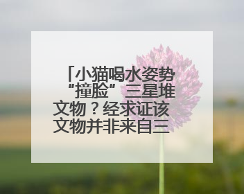 小猫喝水姿势“撞脸”三星堆文物？经求证该文物并非来自三星堆