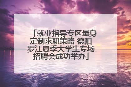 就业指导专区量身定制求职策略 德阳罗江夏季大学生专场招聘会成功举办