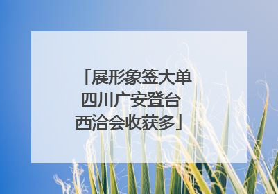 展形象签大单 四川广安登台西洽会收获多