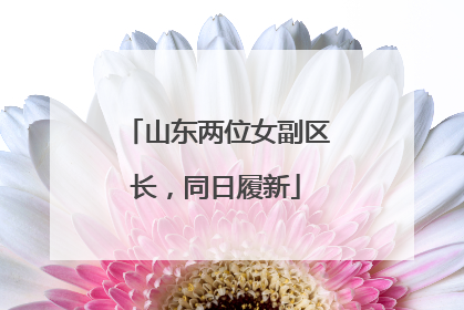 山东两位女副区长，同日履新