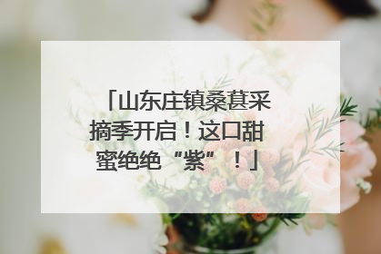 山东庄镇桑葚采摘季开启！这口甜蜜绝绝“紫”！