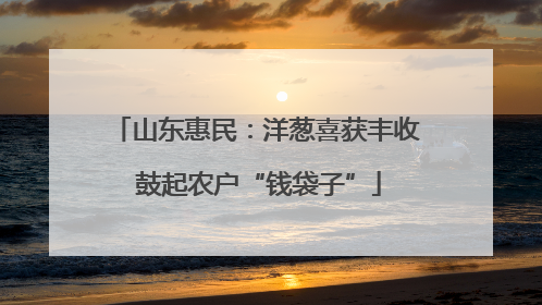 山东惠民：洋葱喜获丰收 鼓起农户“钱袋子”