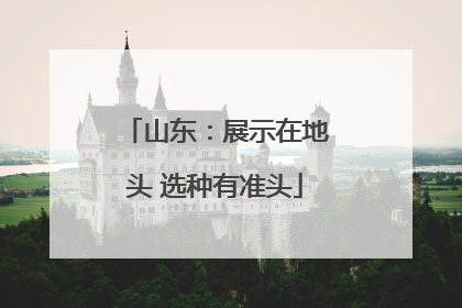山东：展示在地头 选种有准头