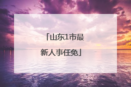 山东1市最新人事任免