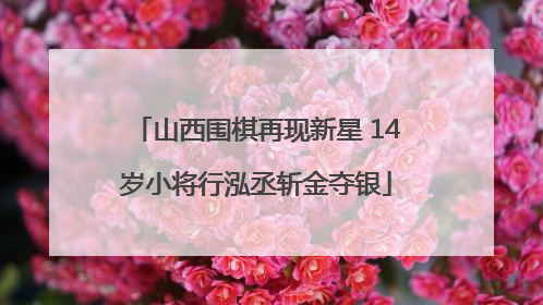 山西围棋再现新星 14岁小将行泓丞斩金夺银