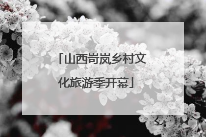 山西岢岚乡村文化旅游季开幕