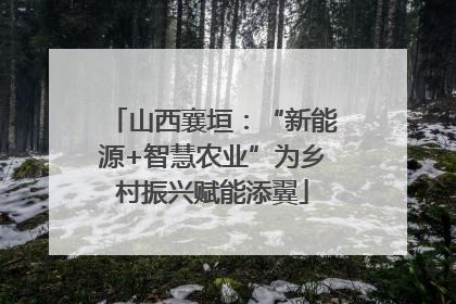 山西襄垣：“新能源+智慧农业”为乡村振兴赋能添翼