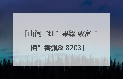 山间“红”果缀 致富“梅”香飘& 8203