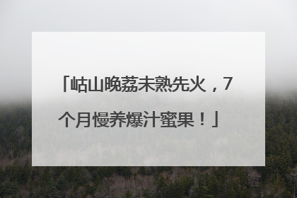 岵山晚荔未熟先火，7个月慢养爆汁蜜果！
