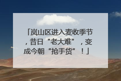 岚山区进入麦收季节，昔日“老大难”，变成今朝“抢手货”！