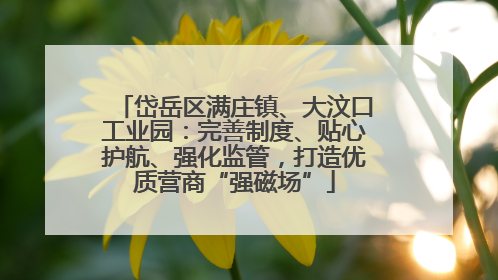 岱岳区满庄镇、大汶口工业园：完善制度、贴心护航、强化监管，打造优质营商“强磁场”