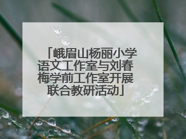 峨眉山杨丽小学语文工作室与刘春梅学前工作室开展联合教研活动