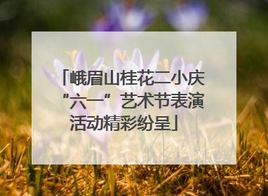 峨眉山桂花二小庆“六一”艺术节表演活动精彩纷呈
