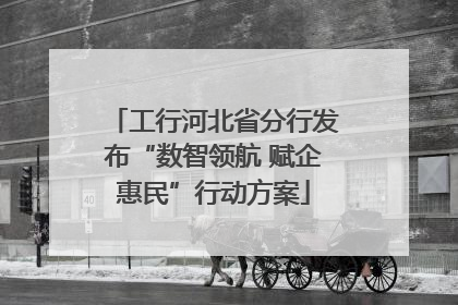 工行河北省分行发布“数智领航 赋企惠民”行动方案