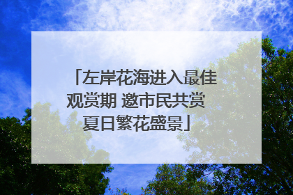 左岸花海进入最佳观赏期 邀市民共赏夏日繁花盛景