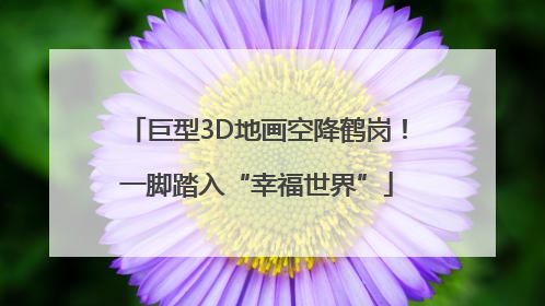 巨型3D地画空降鹤岗！一脚踏入“幸福世界”