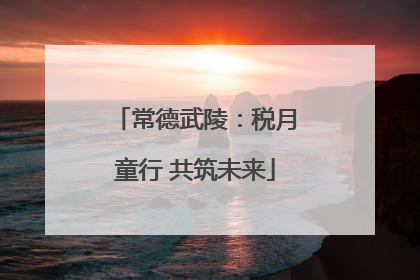 常德武陵：税月童行 共筑未来