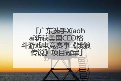 广东选手Xiaohai斩获美国CEO格斗游戏电竞赛事《饿狼传说》项目冠军