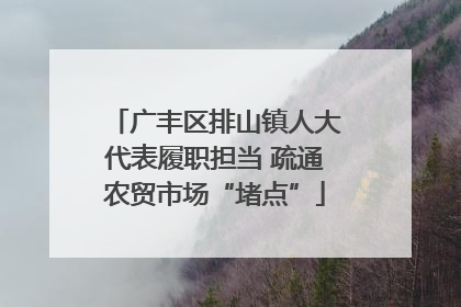 广丰区排山镇人大代表履职担当 疏通农贸市场“堵点”