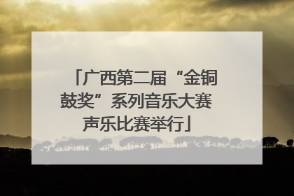 广西第二届“金铜鼓奖”系列音乐大赛声乐比赛举行