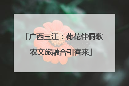 广西三江：荷花伴侗歌 农文旅融合引客来
