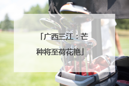 广西三江：芒种将至荷花艳