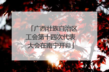 广西壮族自治区工会第十四次代表大会在南宁开幕