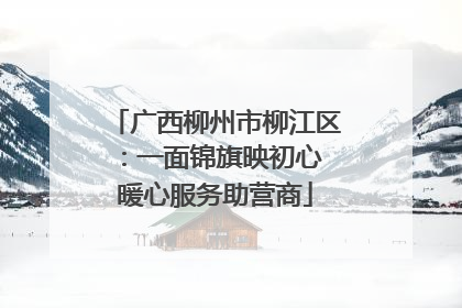 广西柳州市柳江区：一面锦旗映初心 暖心服务助营商