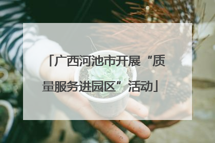广西河池市开展“质量服务进园区”活动