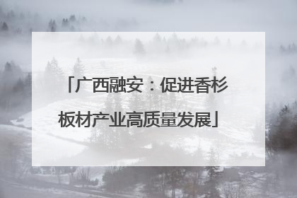 广西融安：促进香杉板材产业高质量发展