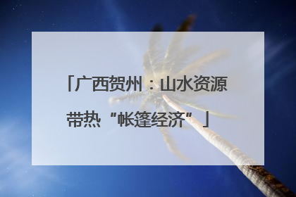 广西贺州：山水资源带热“帐篷经济”