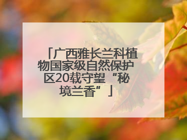 广西雅长兰科植物国家级自然保护区20载守望“秘境兰香”