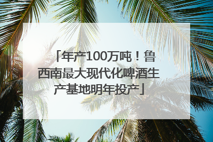 年产100万吨！鲁西南最大现代化啤酒生产基地明年投产