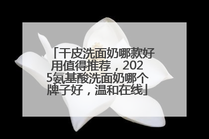 干皮洗面奶哪款好用值得推荐，2025氨基酸洗面奶哪个牌子好，温和在线