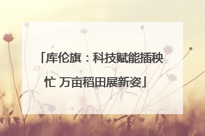 库伦旗：科技赋能插秧忙 万亩稻田展新姿