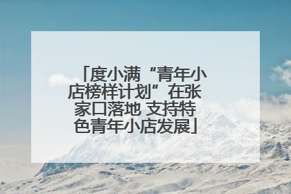 度小满“青年小店榜样计划”在张家口落地 支持特色青年小店发展
