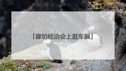 廊坊经洽会上逛车展