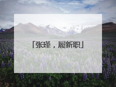 张瑾，履新职