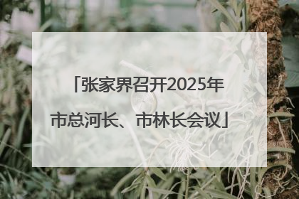 张家界召开2025年市总河长、市林长会议