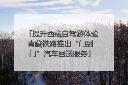 提升西藏自驾游体验 青藏铁路推出“门到门”汽车回送服务