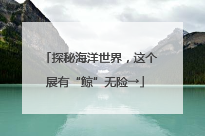 探秘海洋世界，这个展有“鲸”无险→