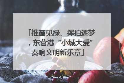 推窗见绿、挥拍逐梦，东营港“小城大爱”奏响文明新乐章