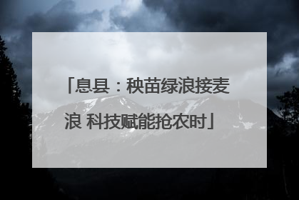 息县：秧苗绿浪接麦浪 科技赋能抢农时