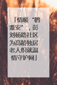 情暖“鹤耋安”，彭刘杨路社区为高龄独居老人织就温情守护网