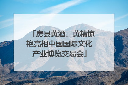 房县黄酒、黄精惊艳亮相中国国际文化产业博览交易会
