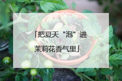 把夏天“泡”进茉莉花香气里