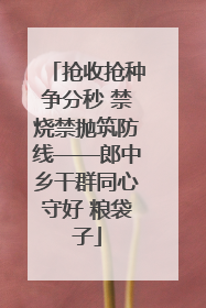 抢收抢种争分秒 禁烧禁抛筑防线——郎中乡干群同心守好 粮袋子