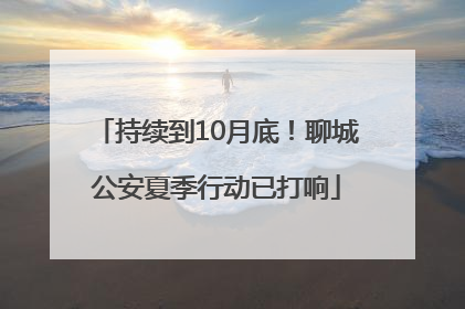 持续到10月底！聊城公安夏季行动已打响
