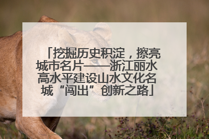 挖掘历史积淀，擦亮城市名片——浙江丽水高水平建设山水文化名城“闯出”创新之路