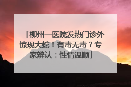 柳州一医院发热门诊外惊现大蛇！有毒无毒？专家辨认：性情温顺